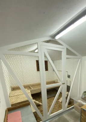 Hühnerstall mit Nestern und Sitzstangen