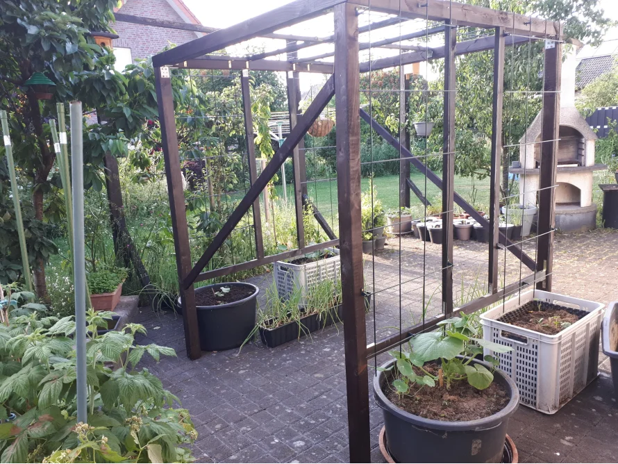 Rankgerüst im Garten