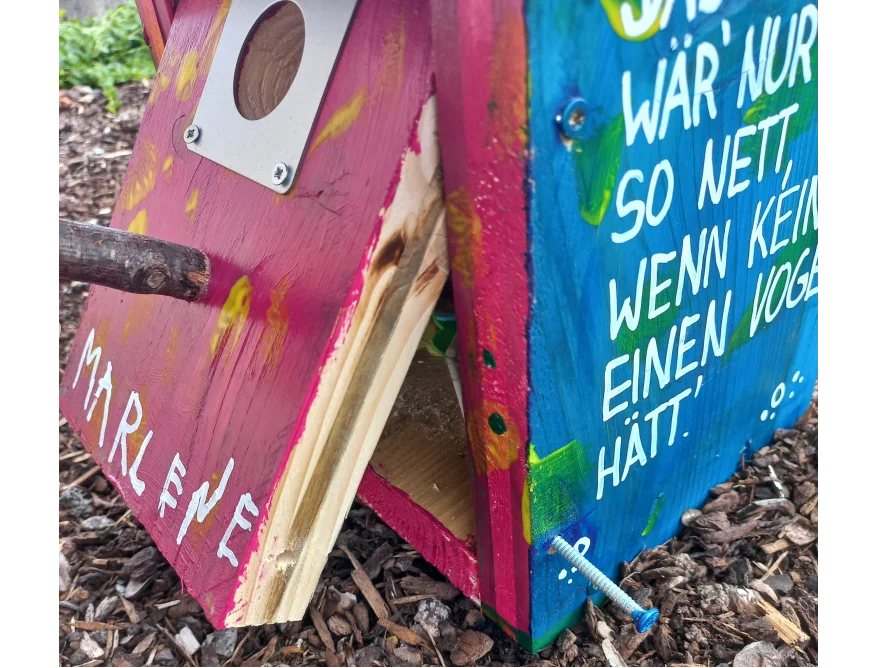 Buntes Vogelhaus mit offener Klappe