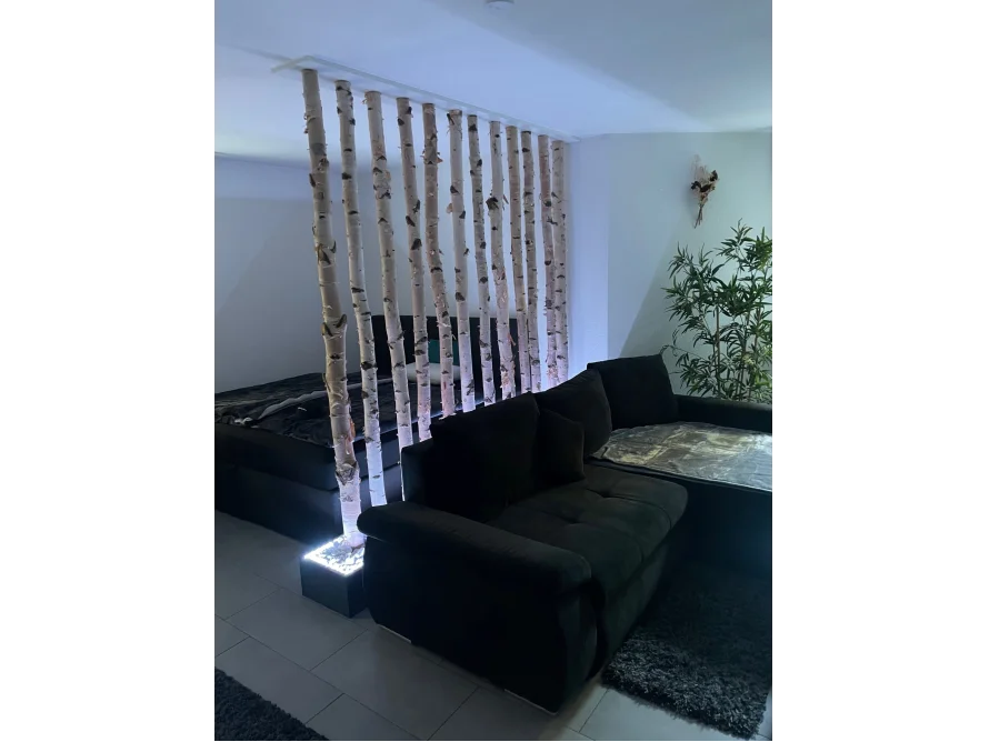 Ein Raumteiler aus Birkenstämmen