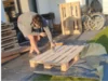 Person baut Holzpalette mit Tacker zusammen