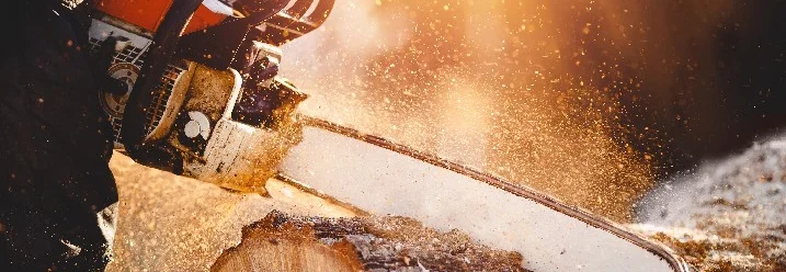 Person sägt mit Kettensäge Baumstamm