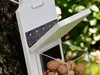 Vogelfutterhaus aus Holz mit Nüssen