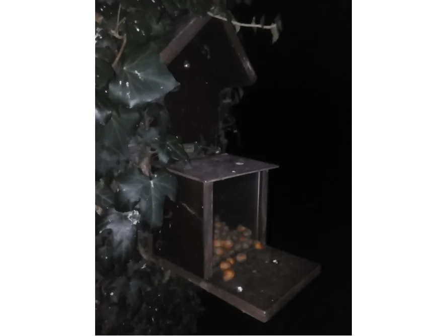 Vogelfutterhaus mit Nüssen