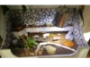 Schildkröten Terrarium