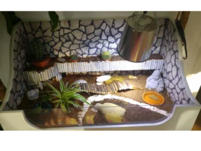 Schildkröten Terrarium