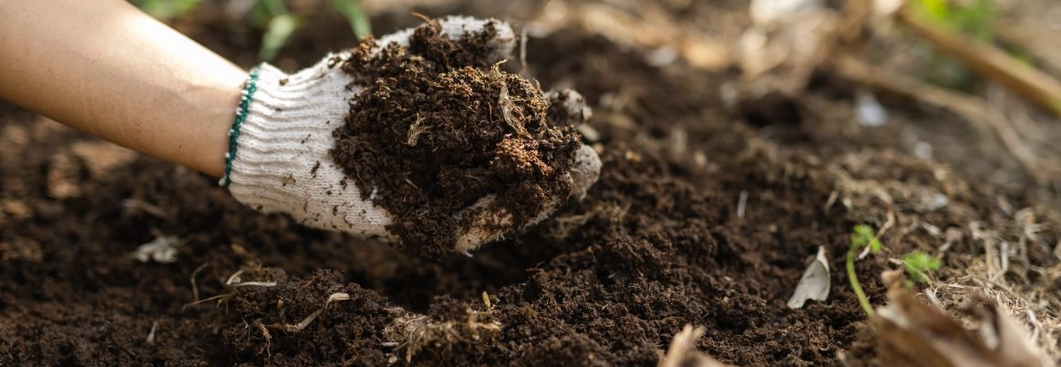 Eine Hand mit Gartenhandschuh hält eine Handvoll Erde.
