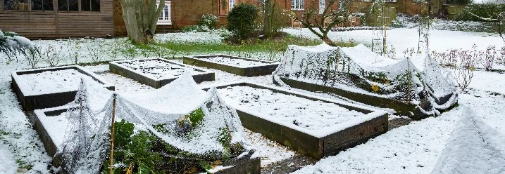 Schneebedeckte Hochbeete