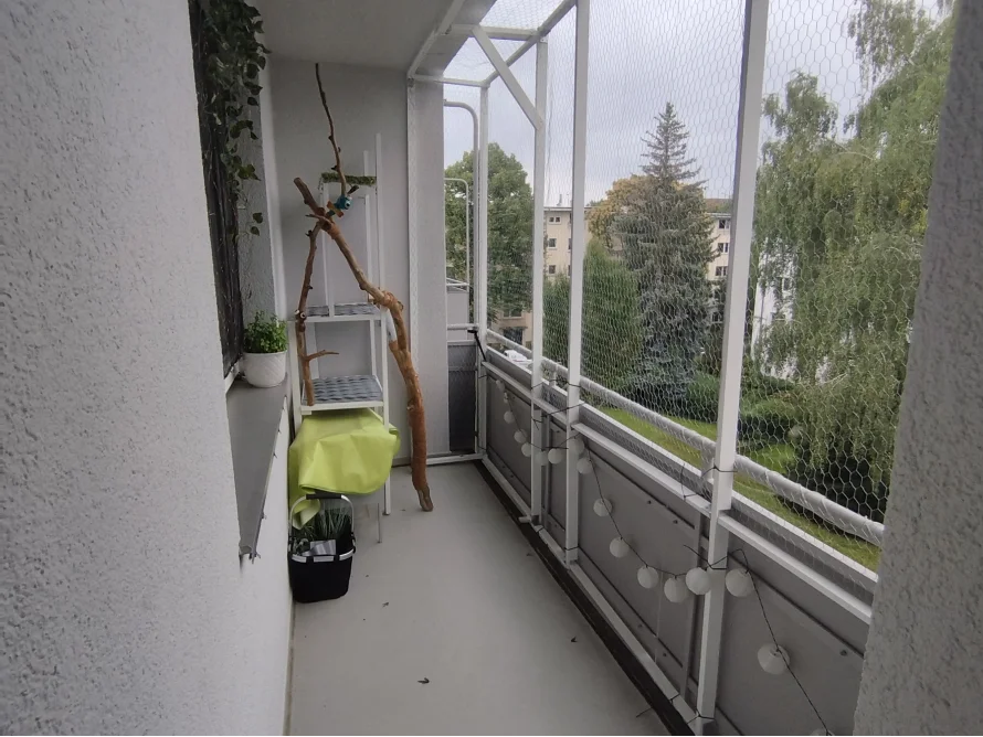 Ein schmaler Balkon mit Katzennetz und Pflanzen.