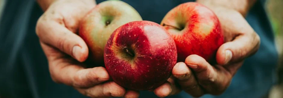Hände halten drei Äpfel