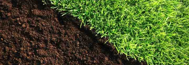 Grüne Rasenfläche neben brauner Erde