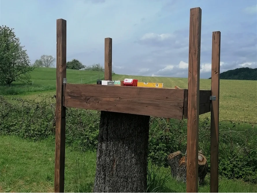 Holzgerüst auf einem Baumstumpf mit Wasserwaage