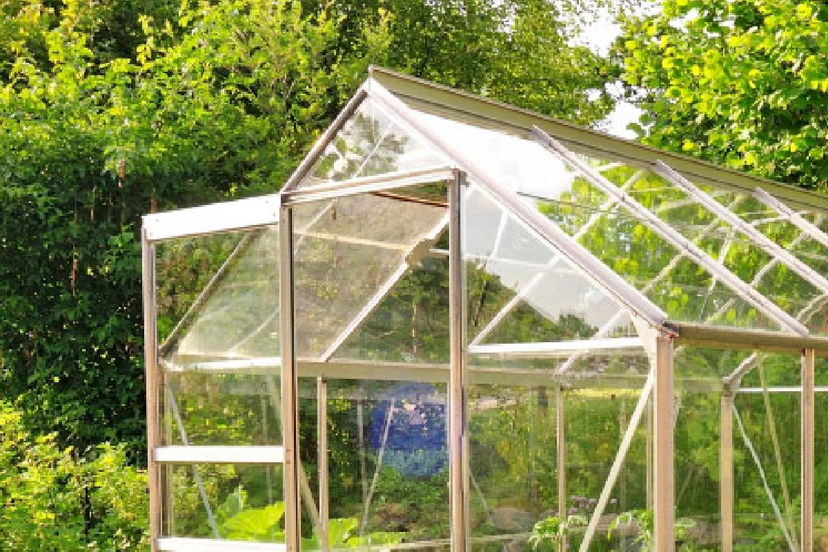 Gewächshaus mit geöffneter Tür im Garten