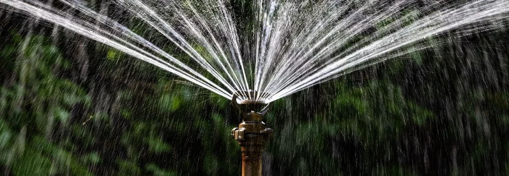 Sprinkler bewässert Rasen