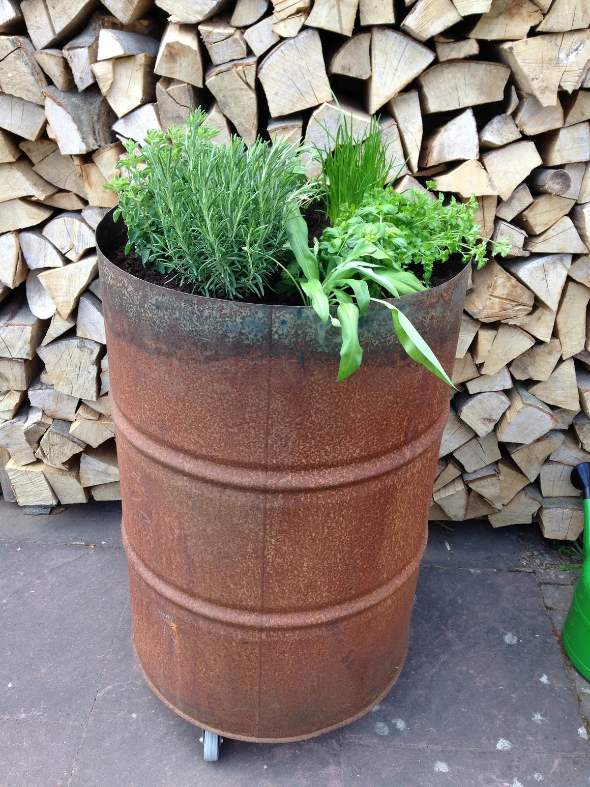 Kräuter in einem alten Fass