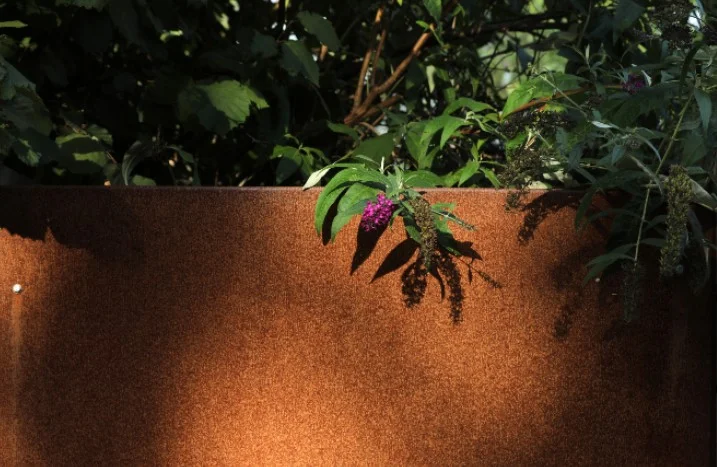 Sichtschutz fr den Garten: Ideen & Tipps | toom Baumarkt