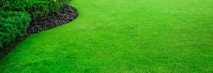 Gepflegter grüner Rasen