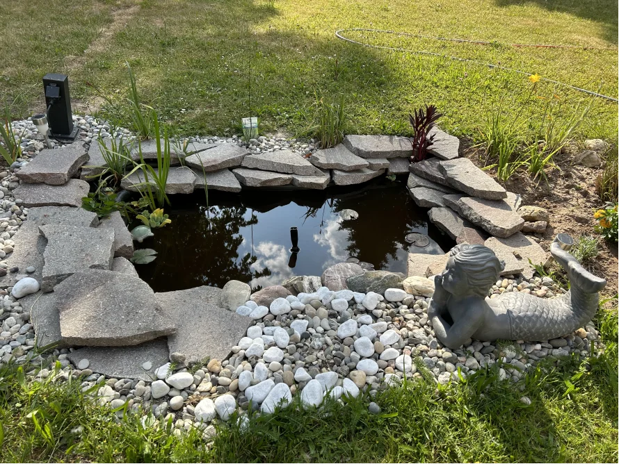 Gartenteich mit Seerosen und Meerjungfrau-Figur