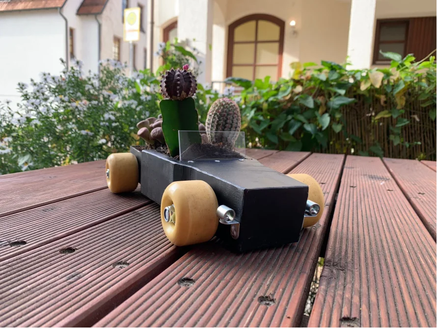 Kleines Auto aus Holz mit Sukkulenten bepflanzt