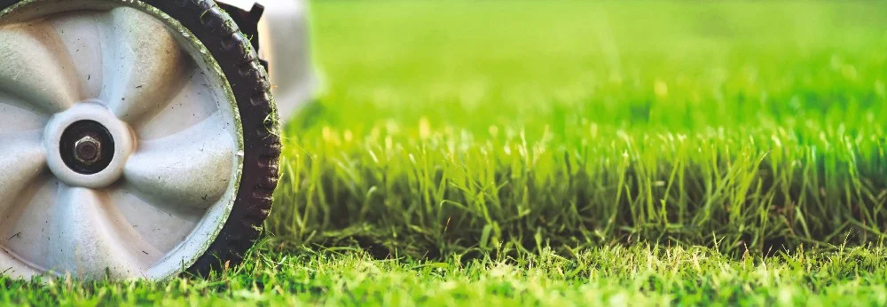 Rasenmäher auf grünem Rasen