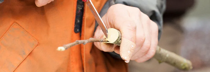Person schneidet mit Messer einen Ast