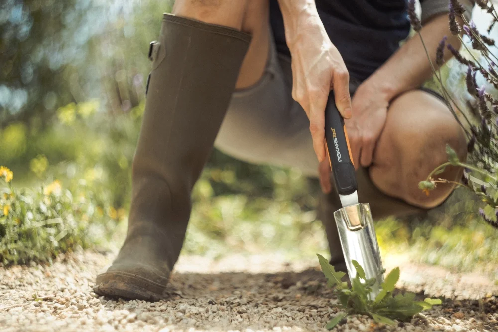 Person jätet Unkraut mit Handgartengerät