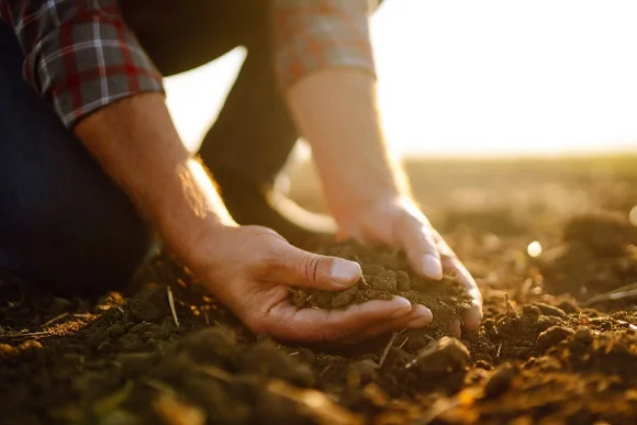 Hände halten dunkle Erde