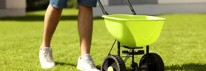 Person düngt Rasen mit Düngerstreuer