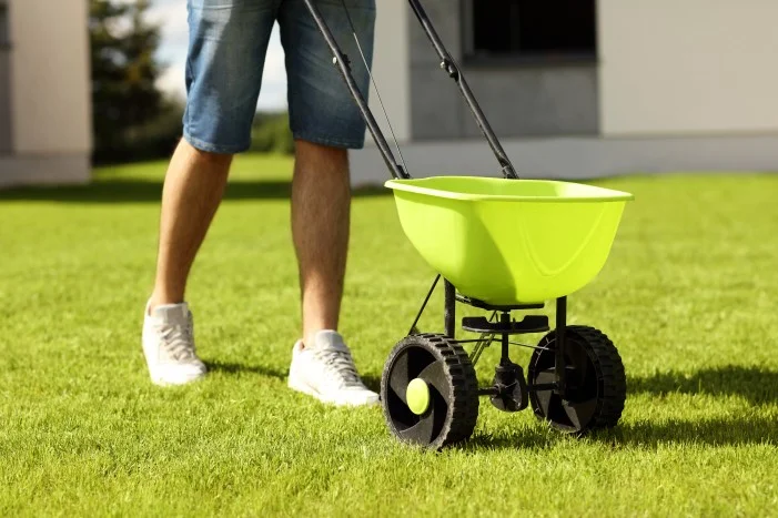 Person düngt Rasen mit Düngerstreuer