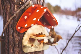 Eichhörnchen an Vogelhaus