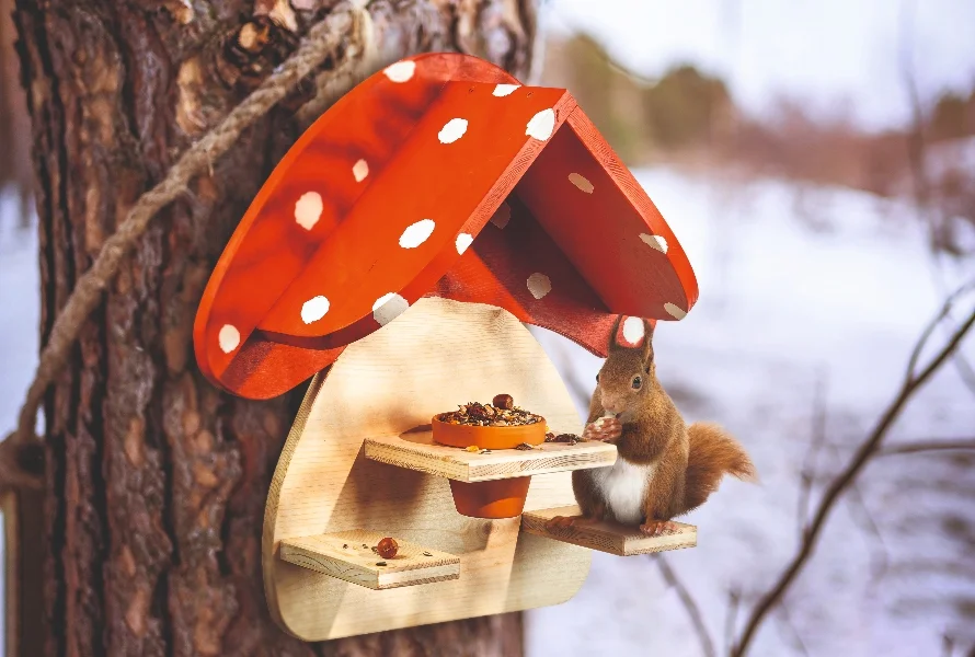 Eichhörnchen an Vogelhaus