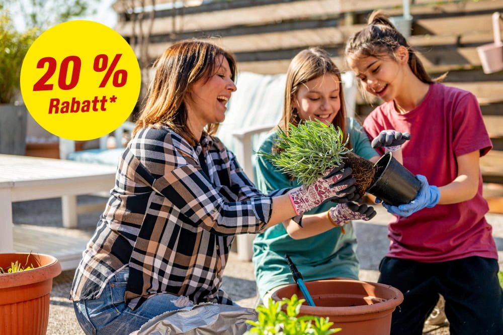 20 % Rabatt*