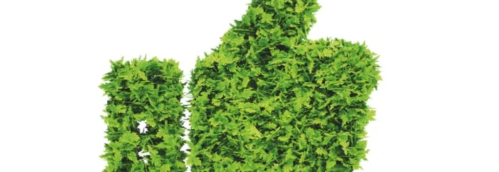 Grüner Daumen hoch aus Pflanzen