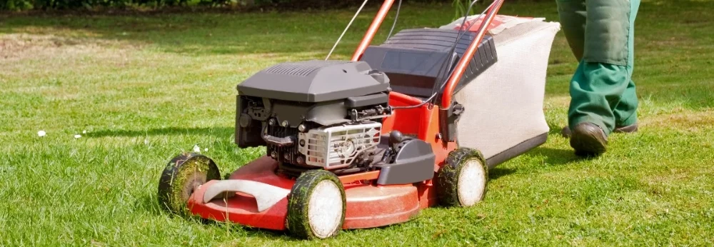 Person mäht Rasen mit Rasenmäher