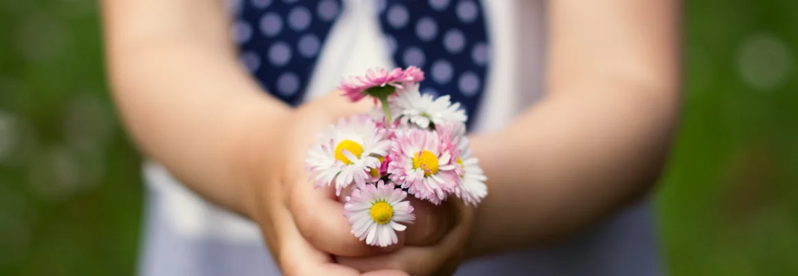 Kind hält Gänseblümchen