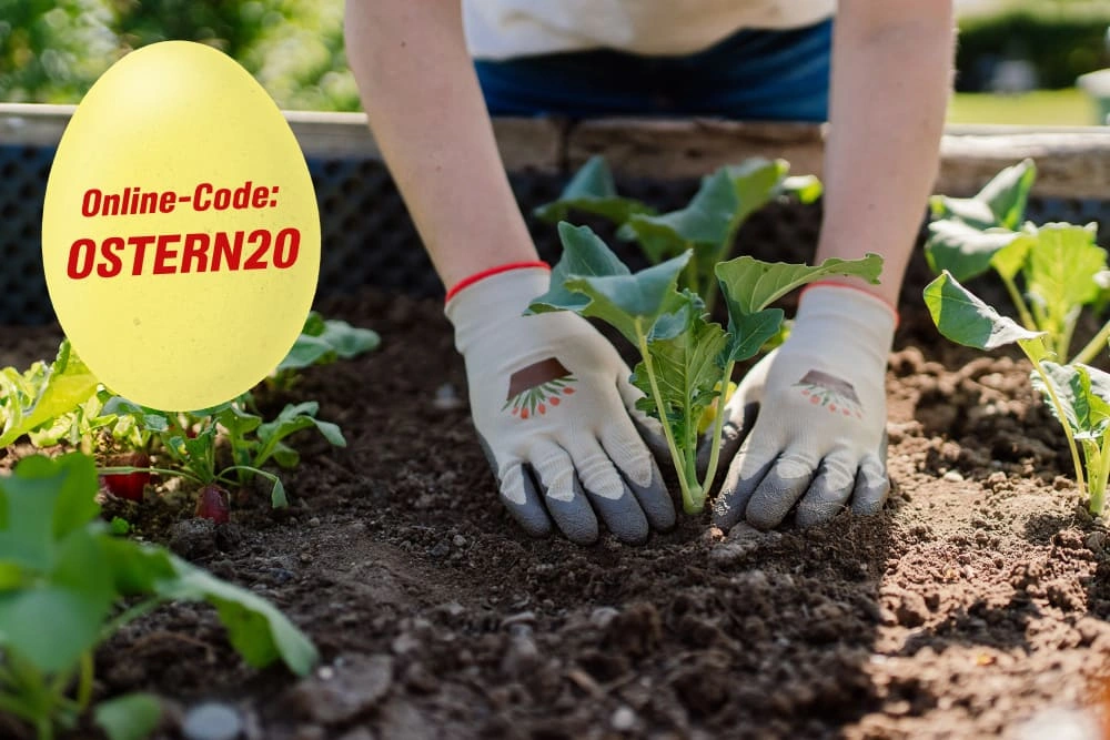 Rabatt-Code: OSTERN20