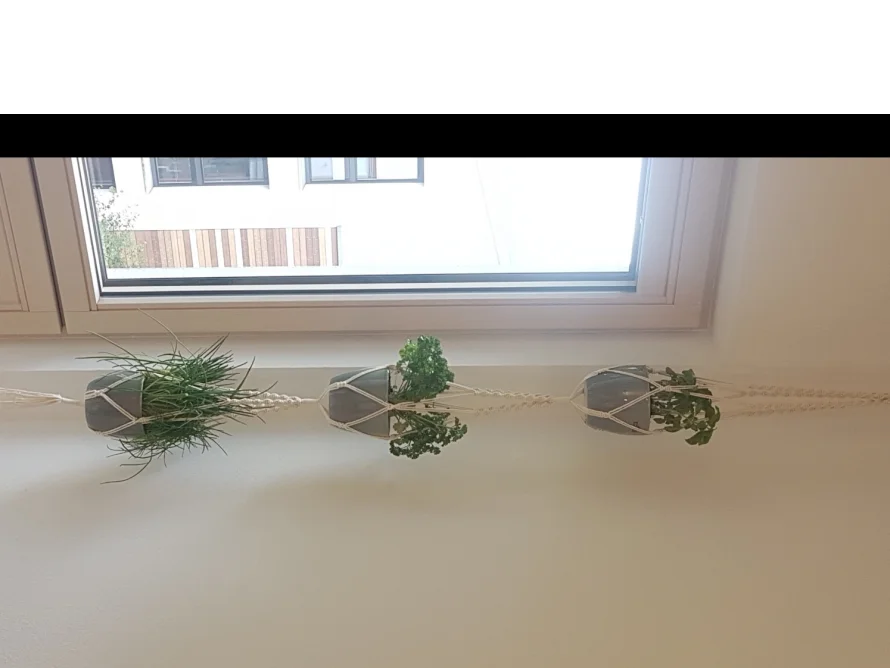 Drei Kräuter in grauen Töpfen hängen an Makramee