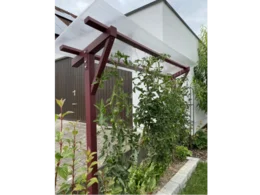 Tomatenpflanzen an einem Holzgerüst