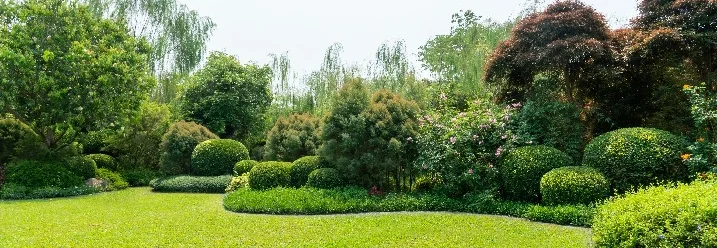 Ein gepflegter, getrimmter Rasen eingerahmt von verschiedenen Pflanzen