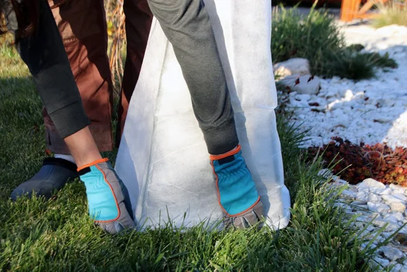 Person deckt Pflanze mit Vlies ab