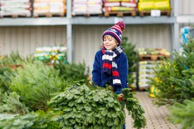 toom setzt sich seit Jahren dafür ein, Kund:innen in der Weihnachtszeit bewusste und faire Entscheidungen zu erleichtern und bietet daher ein nachhaltigeres Sortiment an. Copyright: toom / Getty Images Kind trägt einen Weihnachtsbaum