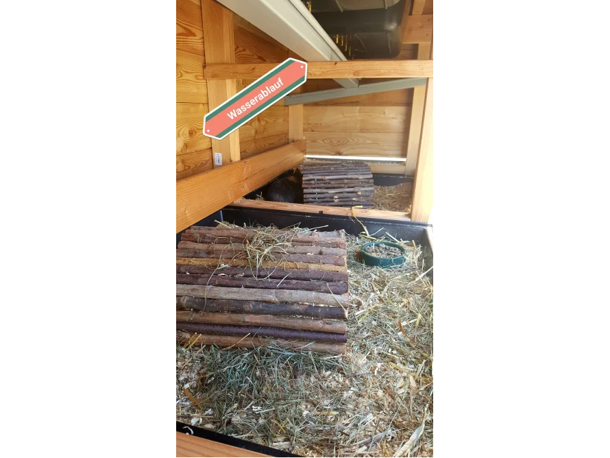 Innenansicht eines Kleintierstalls