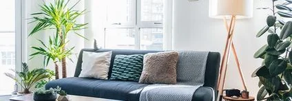 Gemütliches Wohnzimmer mit Pflanzen