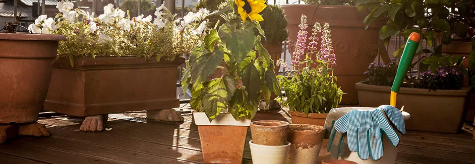 Blumen und Gartengeräte auf Balkon.