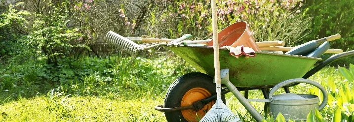 Gartengeräte in einem Garten