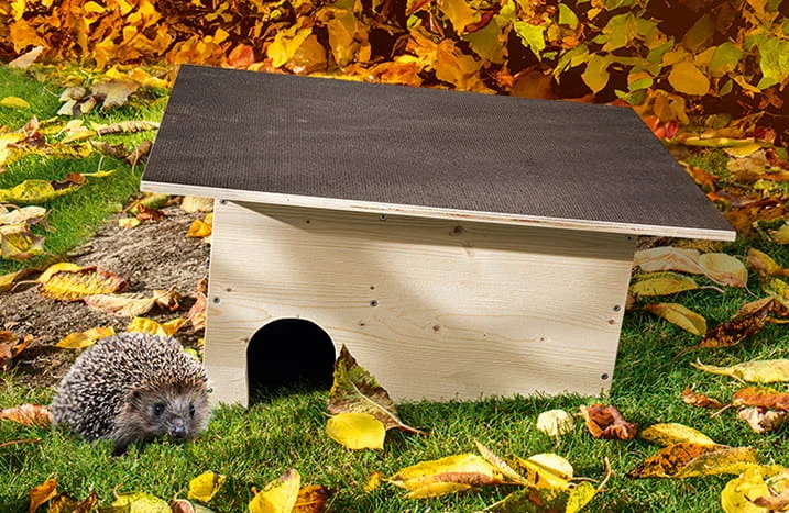 Igelhaus im Garten