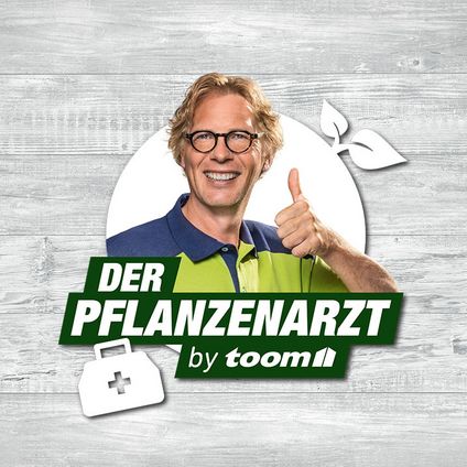 CT Pflanzenarzt 19 14 717x717 Pflanzenarzt