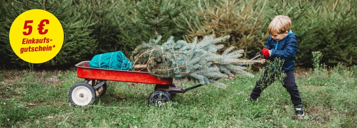 Kind mit Säge transportiert Weihnachtsbaum im Bollerwagen, daneben gelber Button mit dem Schriftzug 5€ Einkaufsgutschein.