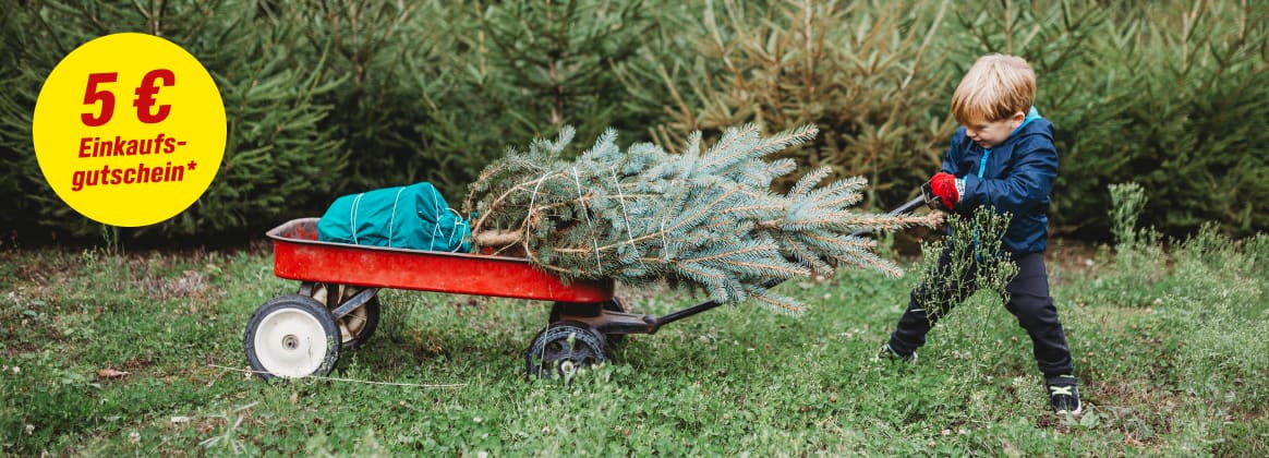 Kind mit Säge transportiert Weihnachtsbaum im Bollerwagen, daneben gelber Button mit dem Schriftzug 5€ Einkaufsgutschein.