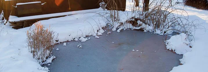 Zugefrorener Gartenteich